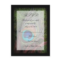 Rich Peacock Feather with Green Moss RSVP Reply Post Card