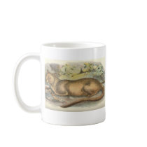 Richard Lydekker - Fossa Bookstore Promo Mugs