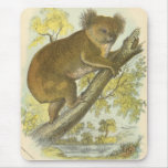 Richard Lydekker - Koala Mouse Mat