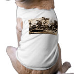Richmond & Petersburg RR Ruins Richmond VA 1865 Dog Shirt