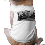Richmond & Petersburg RR Ruins Richmond VA Dog Shirt