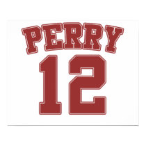 Rick Perry 2012 election posters