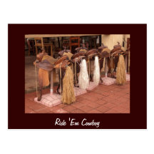 Ride 'Em Cowboy Post Card