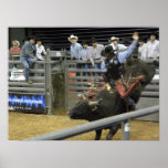 Ride em Cowboy Poster
