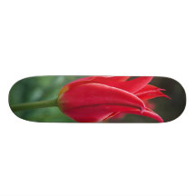 Ride My 2 Lips Skateboard