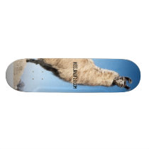 ride the llama skateboards