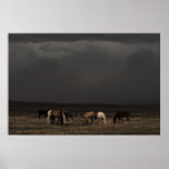 Riders Of The Storm Posters