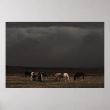 Riders Of The Storm Posters