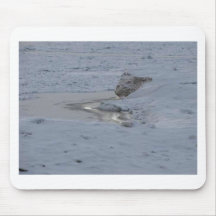 Ridge of Ice Mouse Pad