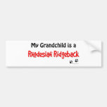 Ridgeback Grandchild Bumper Stickers