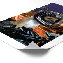Riding free poster