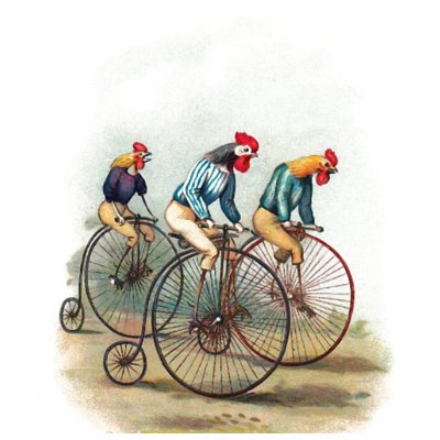 Riding Roosters Shirts by tnmpastperfect