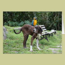 Riding your back cards