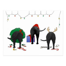 Rien n'aboutent Noël de laboratoire Carte Postale
