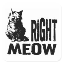 Right MEOW! Funny Evil Kitty