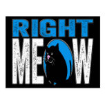 Right MEOW! Funny Kitty Cat Joke (Blue) Postcard