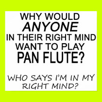 Right Mind Pan Flute posters