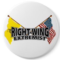 Right Wing Extremist Flags Pin