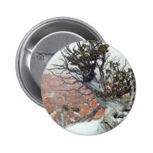 Rim Bryce Canyon Pinback Button