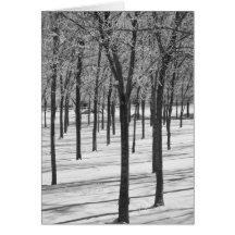Rime in the Trees Winter Notecard