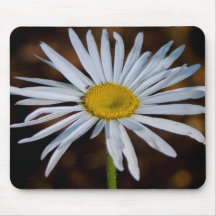 Ring around the daisy mouse pads