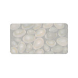 Ring cowrie (Cypraea annulus) Shell Address Label