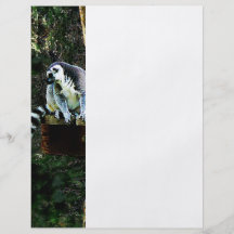 Ring-Tailed Lemur Flyer