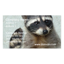 Ringed Raccoon Business Cards