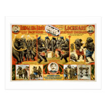 Ringling Bros Pachyderms1899 cartes postales
