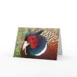 Ringneck Pheasant Notecard