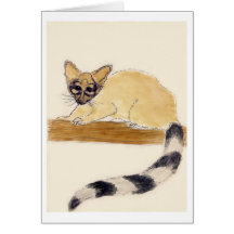 Ringtail Greeting Card