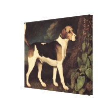 Ringwood, a Brocklesby Foxhound, 1792 Stretched Canvas Prints