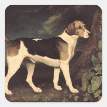 Ringwood, a Brocklesby Foxhound, 1792 Square Sticker
