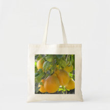 Ripe & Fresh Oranges on a Canvas Bag