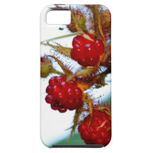 Ripe Raspberries iPhone 5 Cases