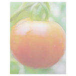 Ripe Red Heirloom Tomato letterhead