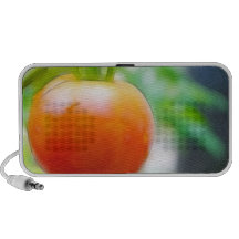 Ripe Red Heirloom Tomato Travelling Speaker
