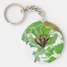 Ripe seed pods on native plant and green  leaves key chains
