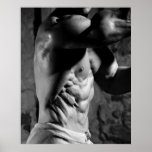Ripped Torso Poster posters