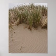 Rippled Sand and Seagrass Print