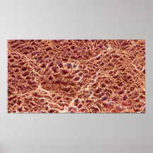 Ripples on Sand Bar with Dried Mud III - Colour Sa Poster