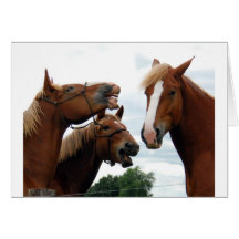 Rire de chevaux cartes de vœux