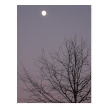 Rising Moon Post Cards