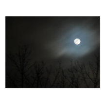 Rising Moon Postcard