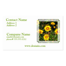 Rising Sun Coreopsis Business Card