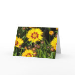 Rising Sun Coreopsis Greeting Card