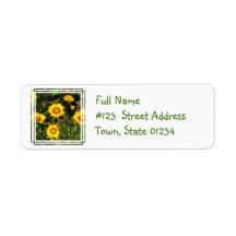 Rising Sun Coreopsis Mailing Labels