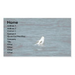 Risso's Dolphin Business Cards
