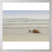 Rivage Shell de Golfe Affiches