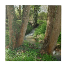 River between Trees in a forest Tile